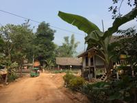 Mai Chau