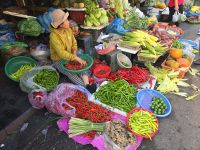 Markt von Hoi An