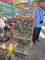 Medizienstrasse in Chinatown