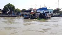 Mekong Delta