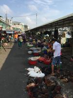 Mekong Marktleben