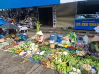 Mekong-Delta (Cần Thơ - 