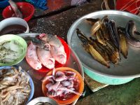 Mekong-Delta (Cần Thơ - 