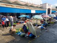 Mekong-Delta (Cần Thơ - 