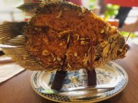 Mekong-Delta (Mittagspause auf der Insel An Binh - Elefantenohrfisch-Essen im 