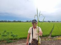 Mekong-Delta (Reiseleiter Binh)