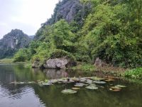 Ninh Binh (Bootsfahrt in der Trockenen Halong-Bucht)