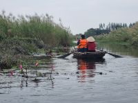 Ninh Binh (Bootsfahrt in der Trockenen Halong-Bucht)