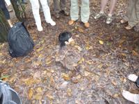 Unser Reiseleiter Hien