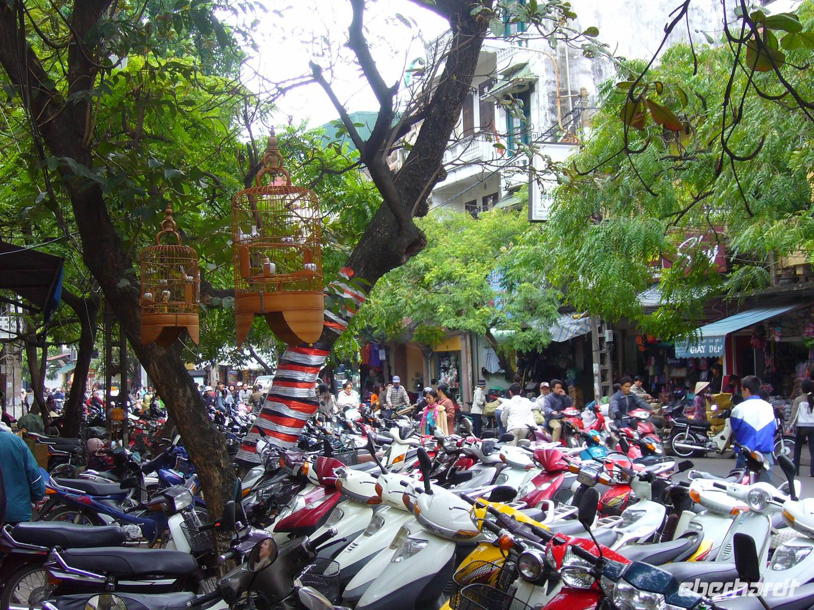 Unterwegs in Hanoi