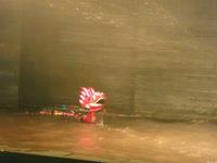 Wasserpuppentheater