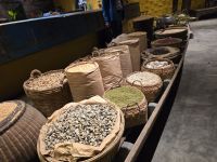 Willkommen in Hoi An