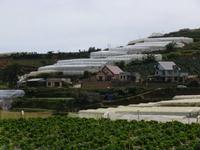 Zugfahrt in Da Lat