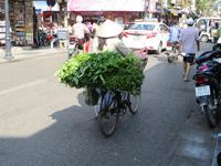 Transport mal anders 1