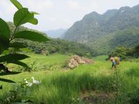 Ausblick in die Berge 3