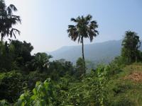 Ausblick in die Berge 6