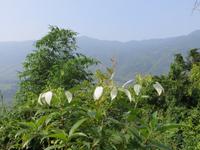 Ausblick in die Berge 7