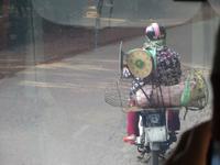 Transport mal anders - leider verwackelt, aber mit Schweinchen auf dem Moped!!!