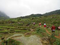 Wanderung in der Bergwelt von Nordvietnam