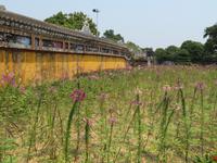 In der Zitadelle in Hue
