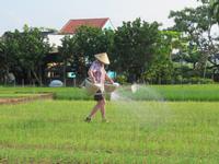 Wir pflanzen ein Beet