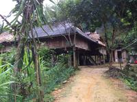 Unser Pfahlhaus mitten im Dschungel