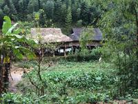 Unser Pfahlhaus mitten im Dschungel