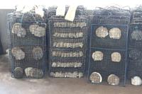 Halong-Perlzuchtfarm