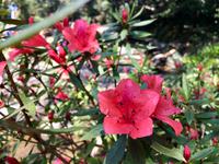 Bach Ma-Nationalpark