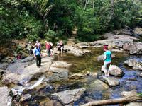 Bach Ma-Nationalpark