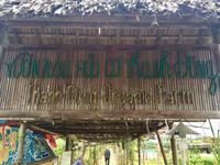 Hoi An Gemüsegarten