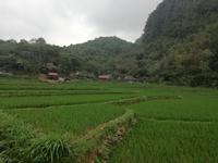 dritte Wanderung von Kho Moung nach 