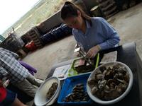 von Ninh Binh nach Ha Long - Perlenfabrik