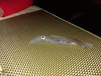 Kreuzfahrt Ha Long Bucht