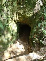 Wanderung im Nationalpark Bach Ma - Tunneleingang