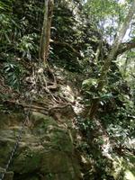 Wanderung im Nationalpark Bach Ma