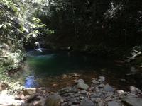 Wanderung im Nationalpark Bach Ma