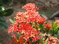 Ausflug ins Mekongdelta