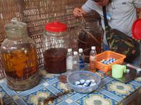 Ausflug ins Mekongdelta - Schlangenschnapsverkostung