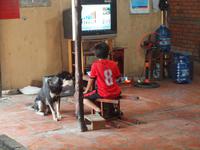 Ausflug ins Mekongdelta