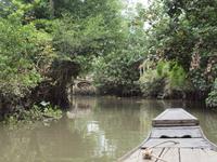 Ausflug ins Mekongdelta