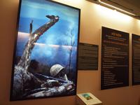Besuch des Kriegsopfermuseums Saigon