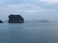 wir sind nicht allein...