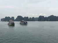 Schiffsverkehr in der Halongbucht