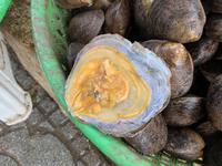 Fast-Food auf vietnamesisch