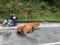 wo es dir gefällt, da lass dich nieder... ;-)