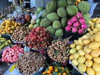 Früchte in allen Formen und Farben