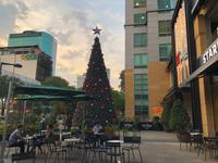 Es weihnachtet auch in Vietnam...