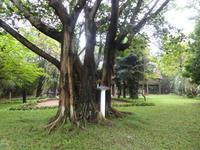 Im Außenbereich des Ethnologischen Museums