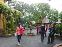 Begehrtes Fotomotiv im Garten des Ethnologischen Museums